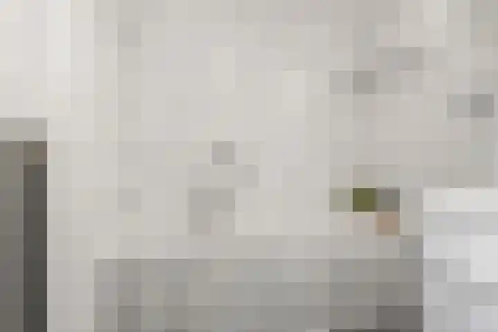 Achterdorpsstraat 4 Renkum thumbnail 41