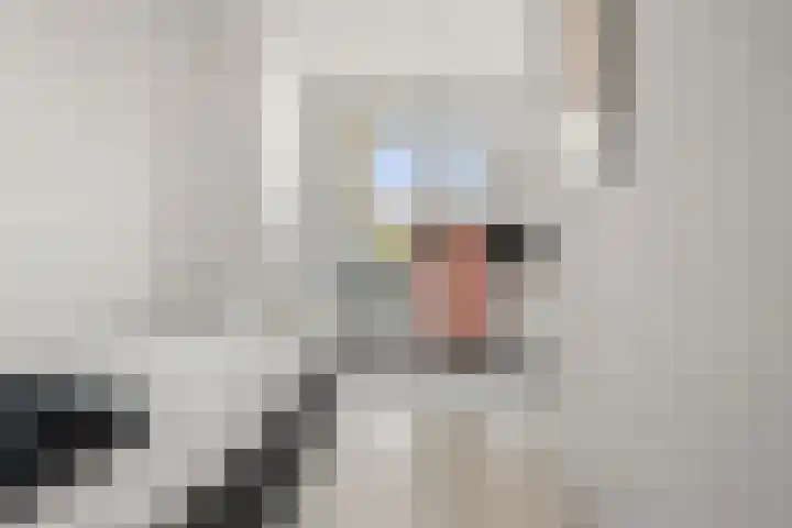 Achterdorpsstraat 4 Renkum thumbnail 43