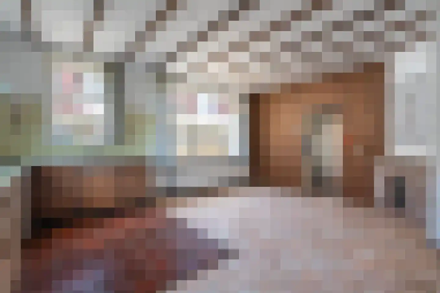 Achterdorpsstraat 55 Renkum thumbnail 13