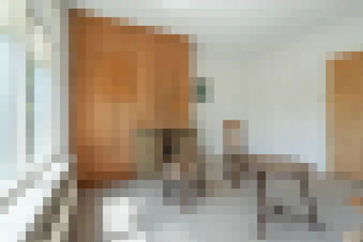 Achterdorpsstraat 55 Renkum thumbnail 7