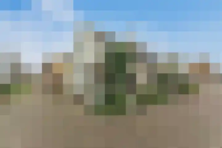 Achtereiland 12 Medemblik thumbnail 54