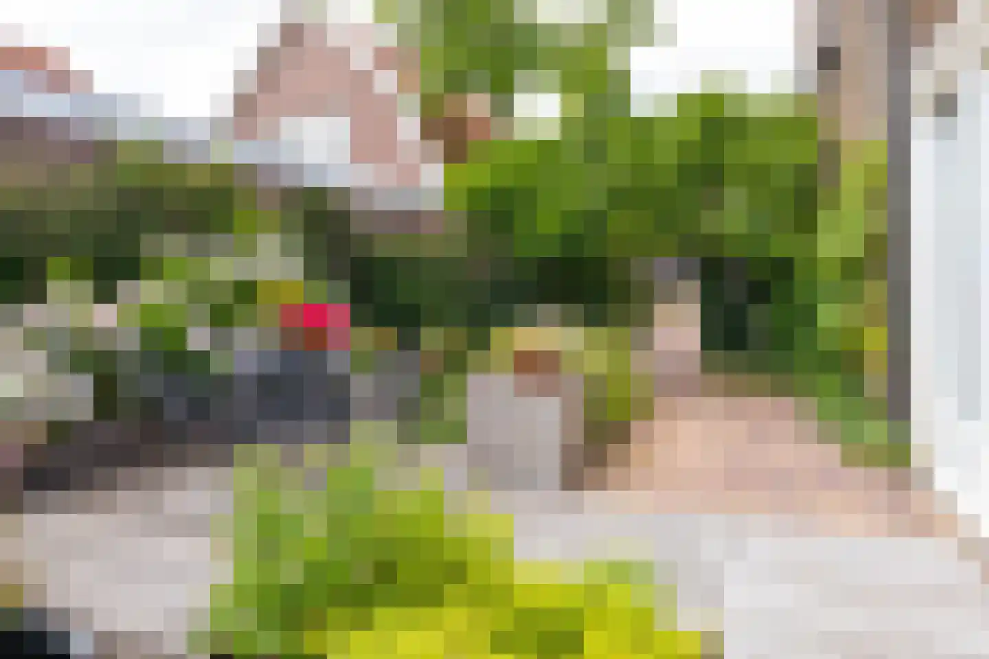 Achtereiland 2 A Medemblik thumbnail 47