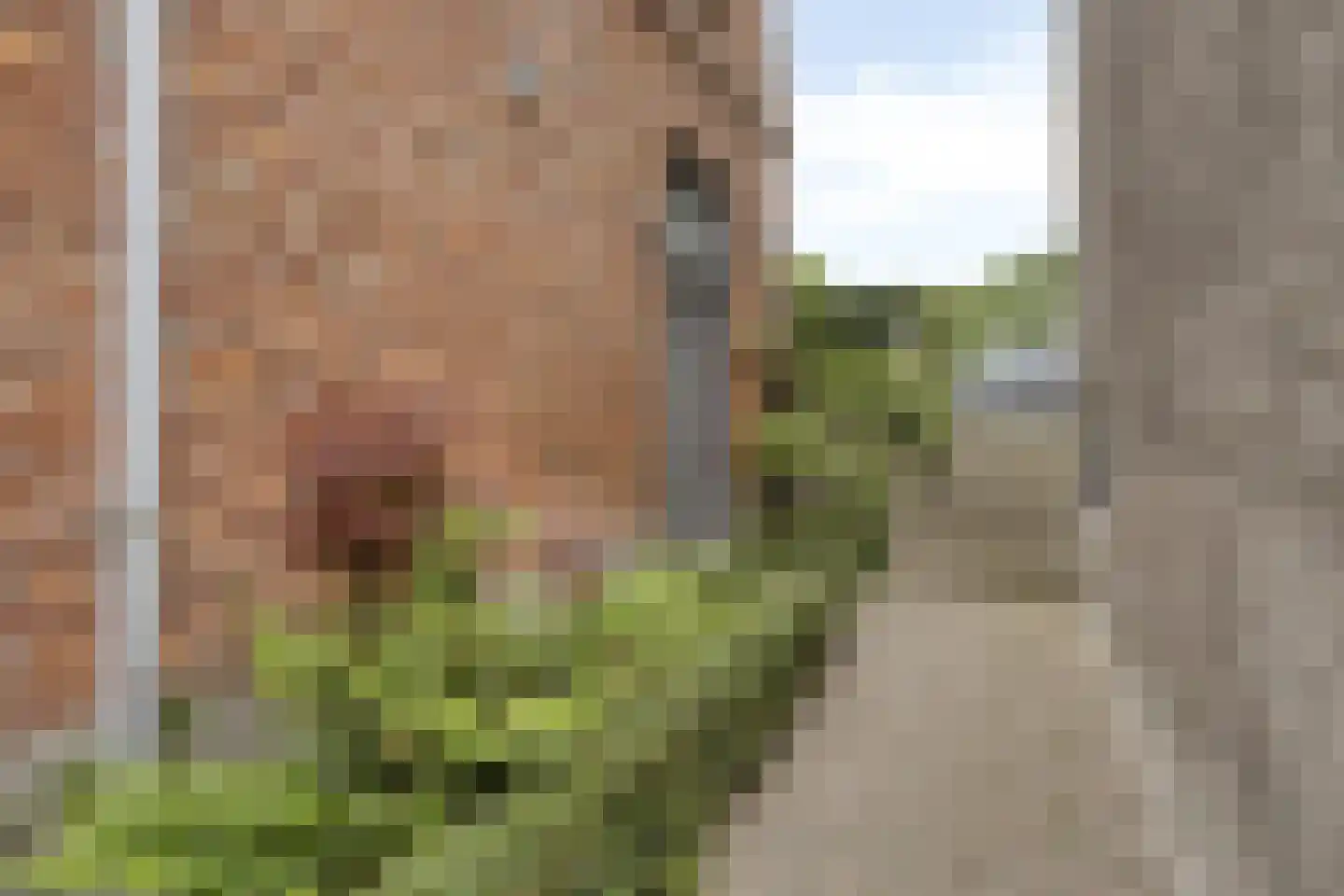 Achtereindstraat 18 Graauw thumbnail 17