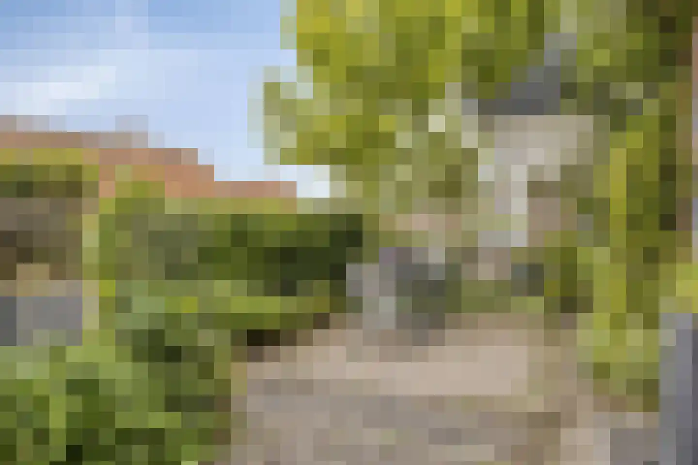 Achtereindstraat 18 Graauw thumbnail 18