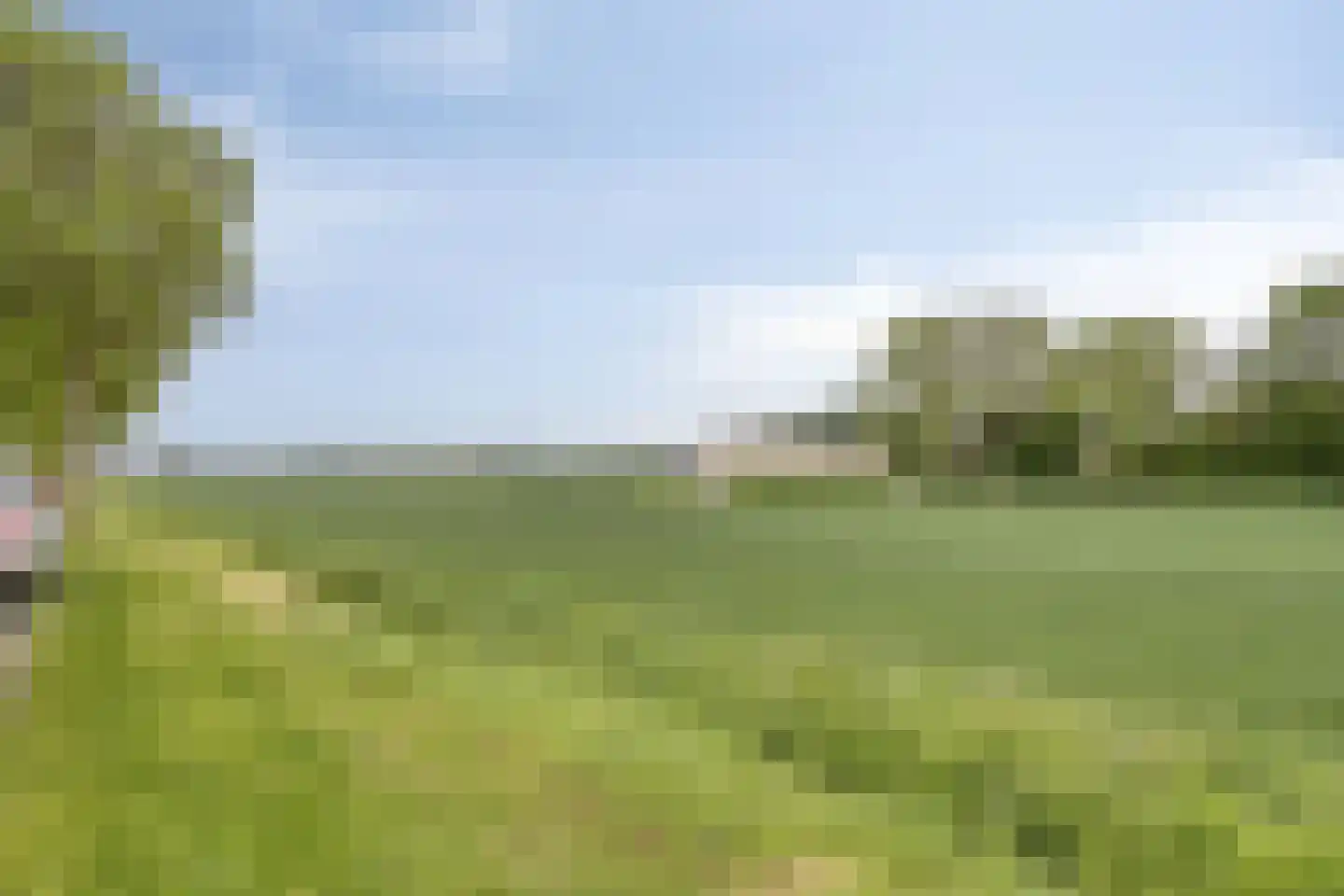 Achtereindstraat 18 Graauw thumbnail 21