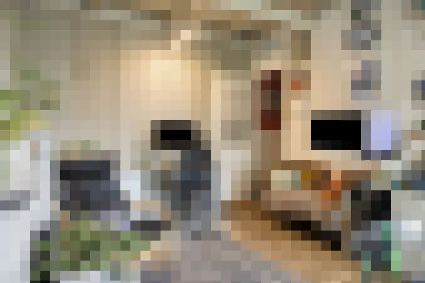 Achtereindstraat 18 Graauw thumbnail 6