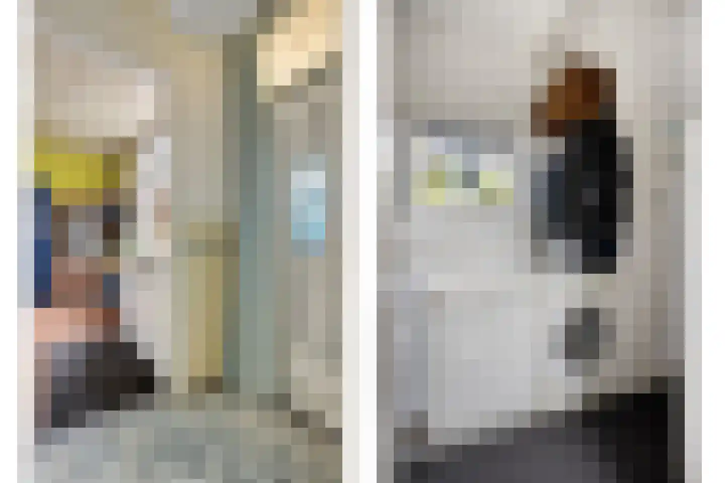 Achtereindstraat 18 Graauw thumbnail 9