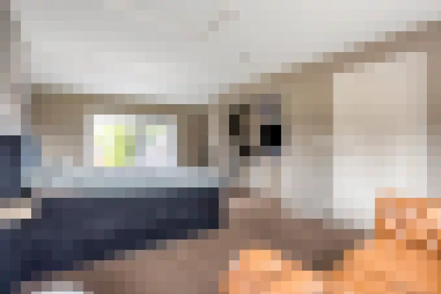 Achtereindstraat 26 Graauw thumbnail 24