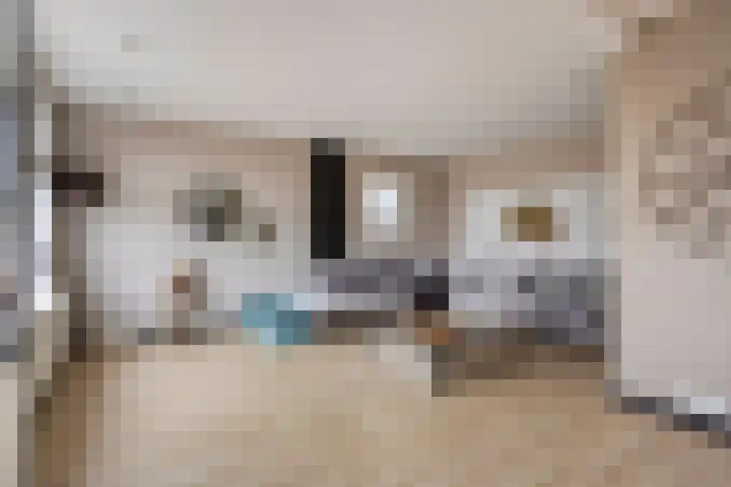 Achtereindstraat 26 Graauw thumbnail 7