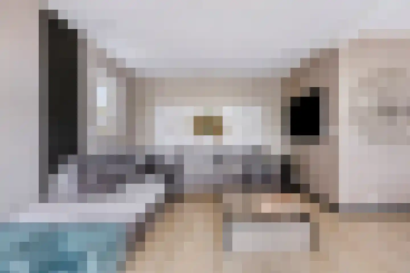 Achtereindstraat 26 Graauw thumbnail 8