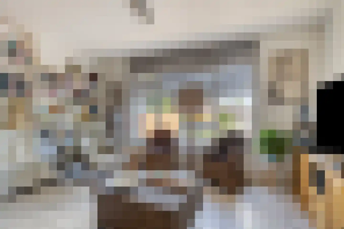 Achtereindstraat 32 Graauw thumbnail 10