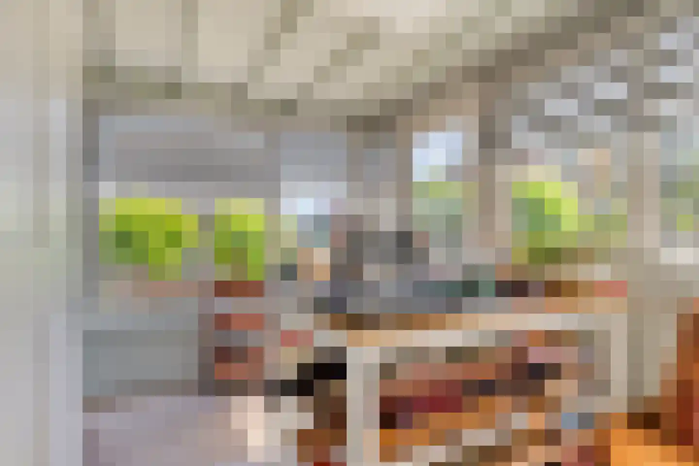Achtereindstraat 32 Graauw thumbnail 17