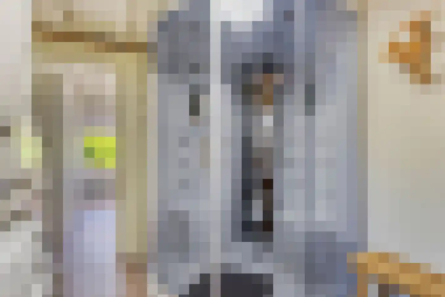 Achtereindstraat 32 Graauw thumbnail 19