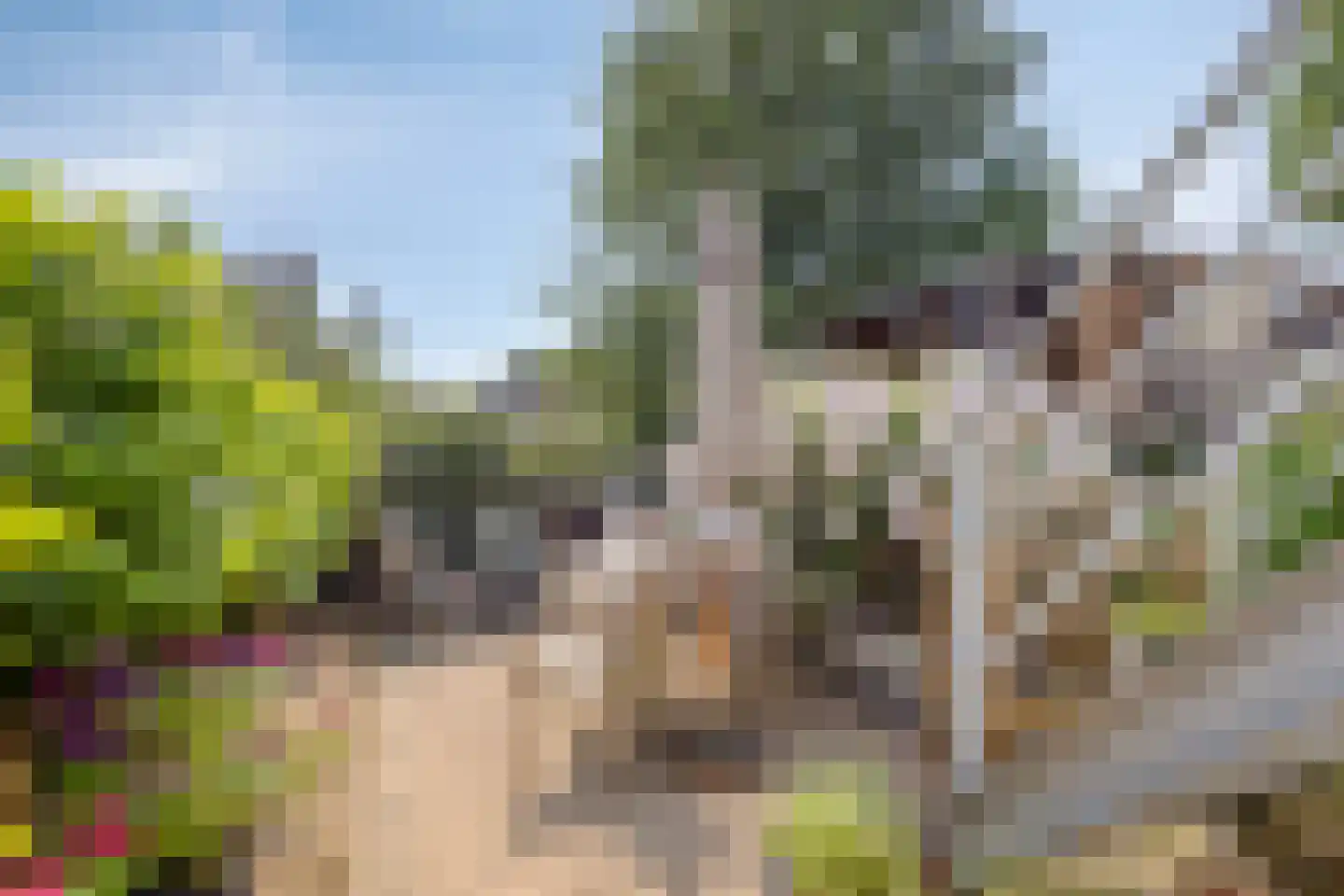 Achtereindstraat 32 Graauw thumbnail 31