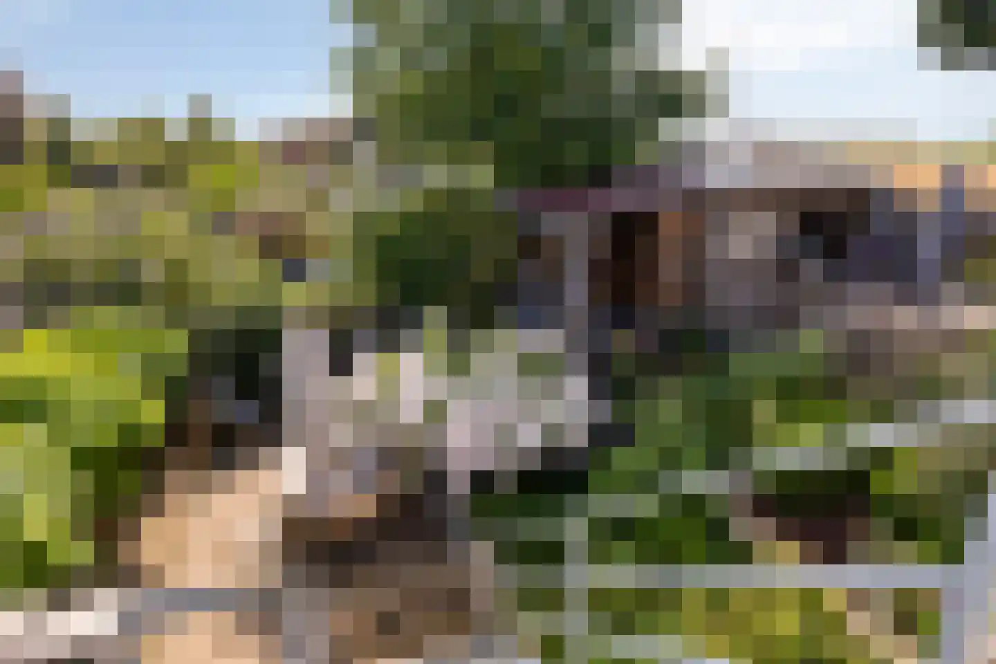 Achtereindstraat 32 Graauw thumbnail 36