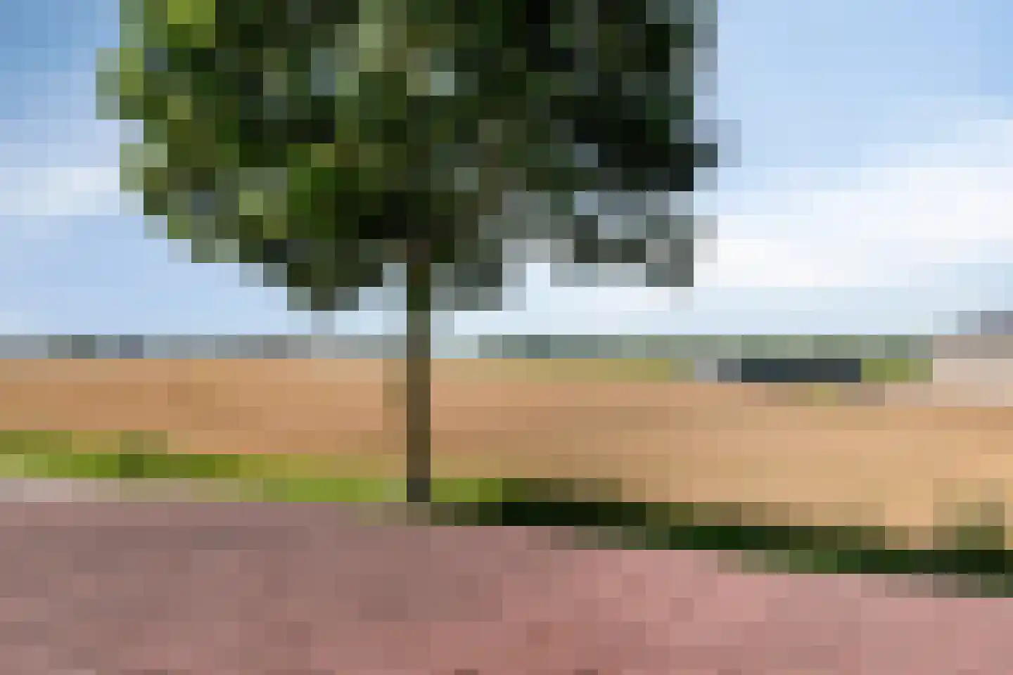 Achtereindstraat 32 Graauw thumbnail 37