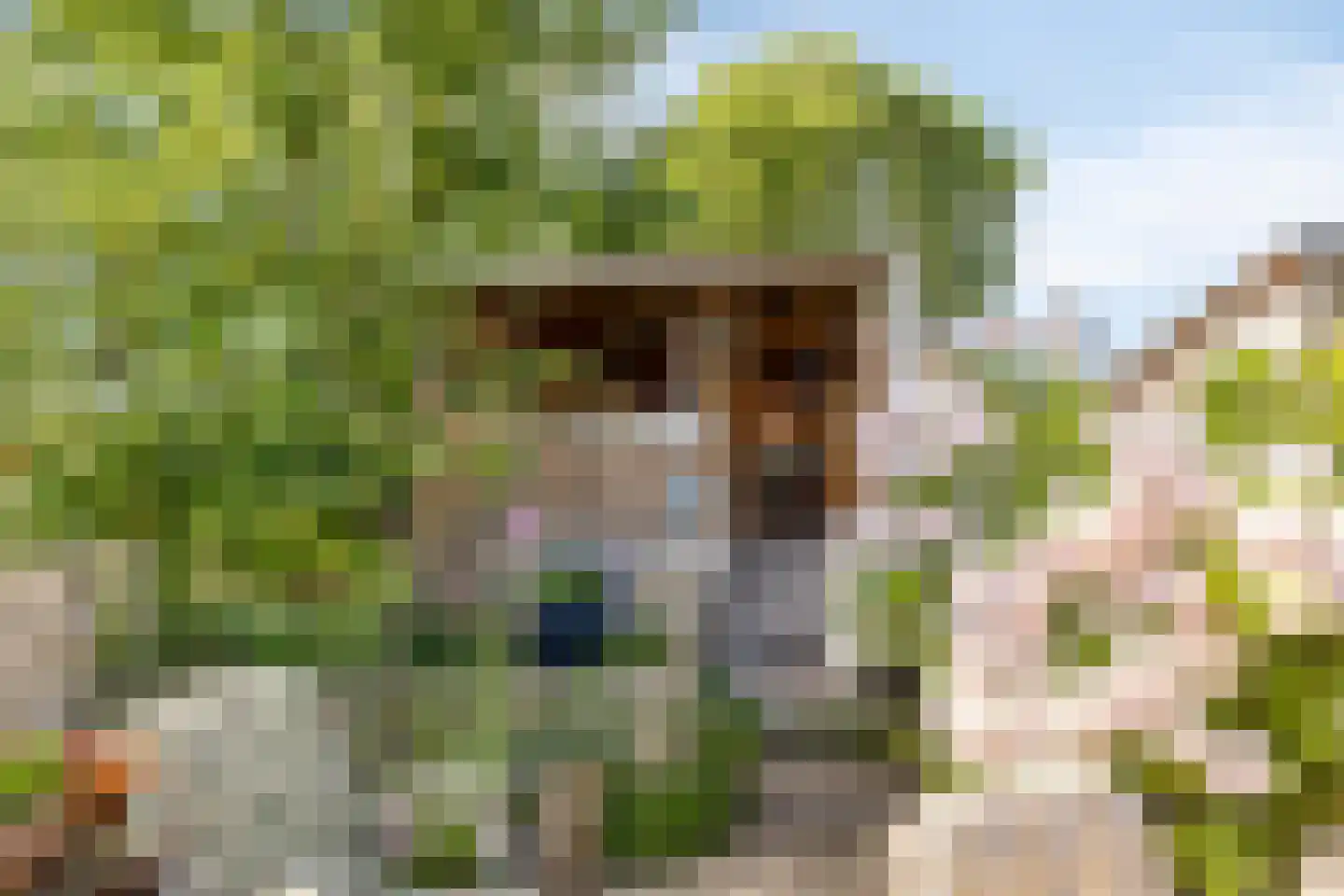 Achtereindstraat 32 Graauw thumbnail 38