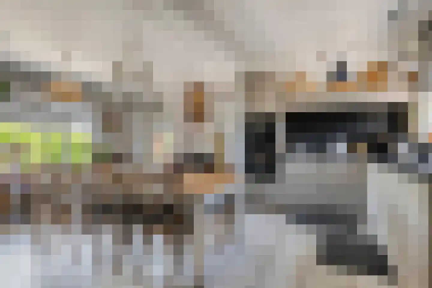 Achtereindstraat 32 Graauw thumbnail 5