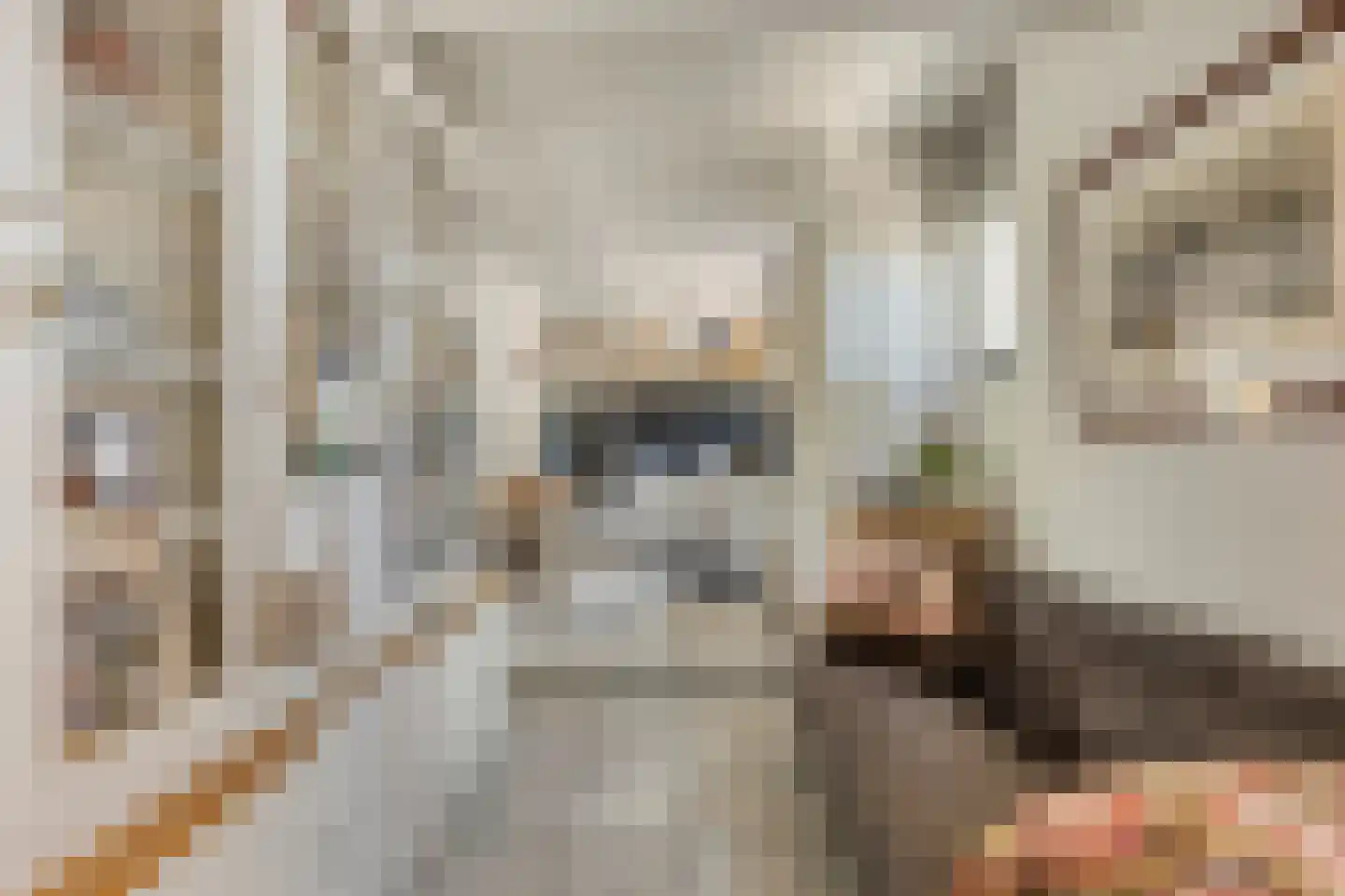 Achtereindstraat 32 Graauw thumbnail 9
