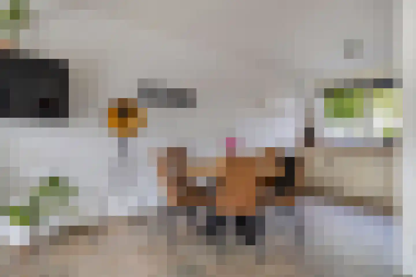 Achtererf 37 Tholen thumbnail 14