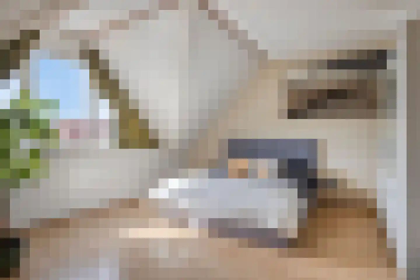 Achtererf 37 Tholen thumbnail 20