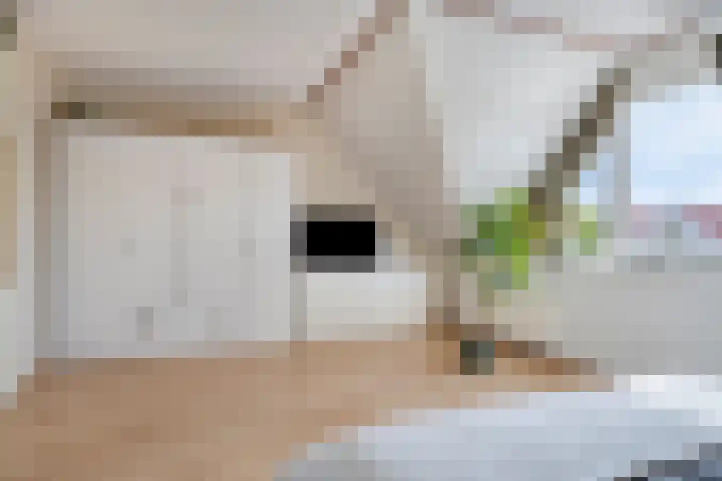 Achtererf 37 Tholen thumbnail 21