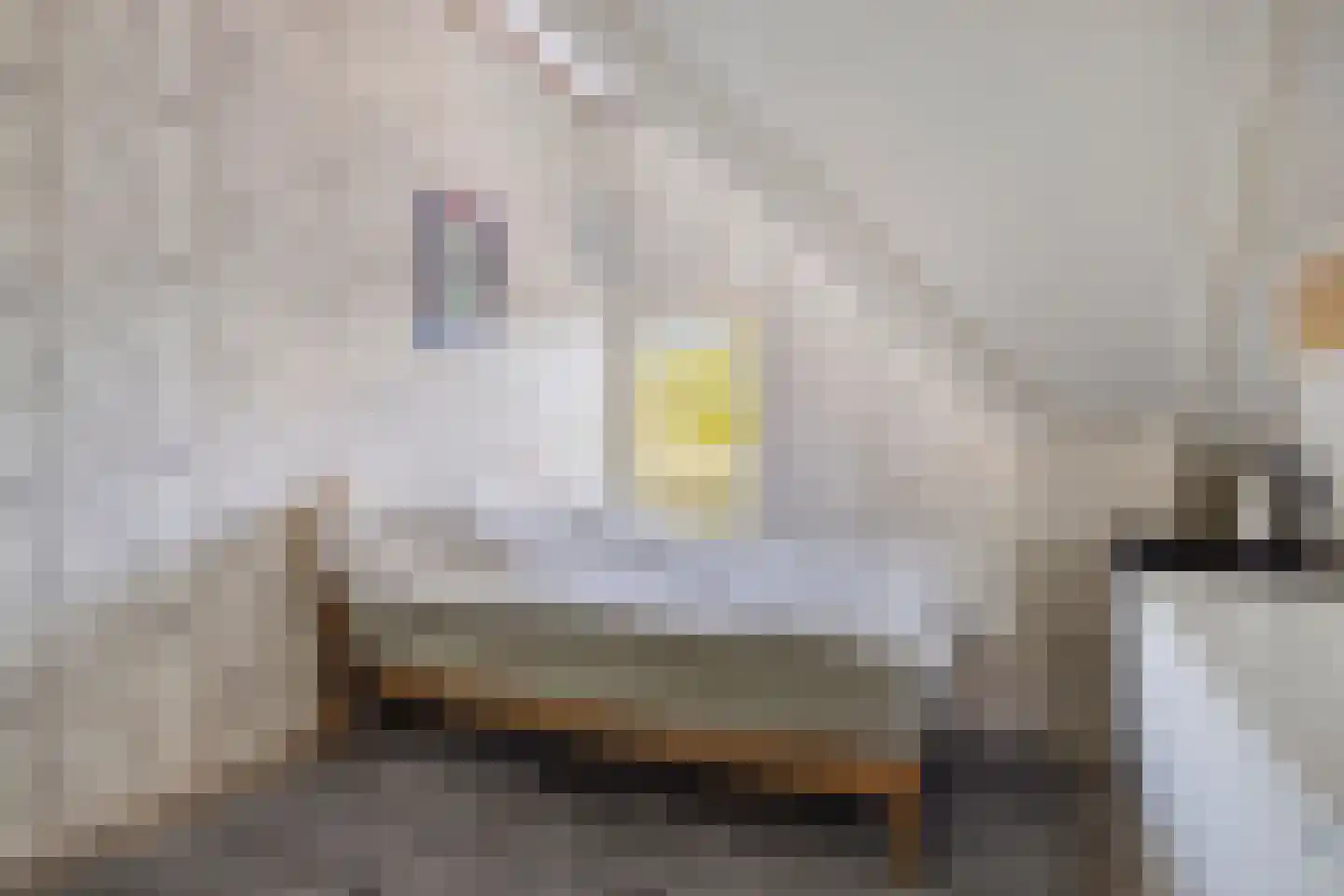 Achtererf 37 Tholen thumbnail 27