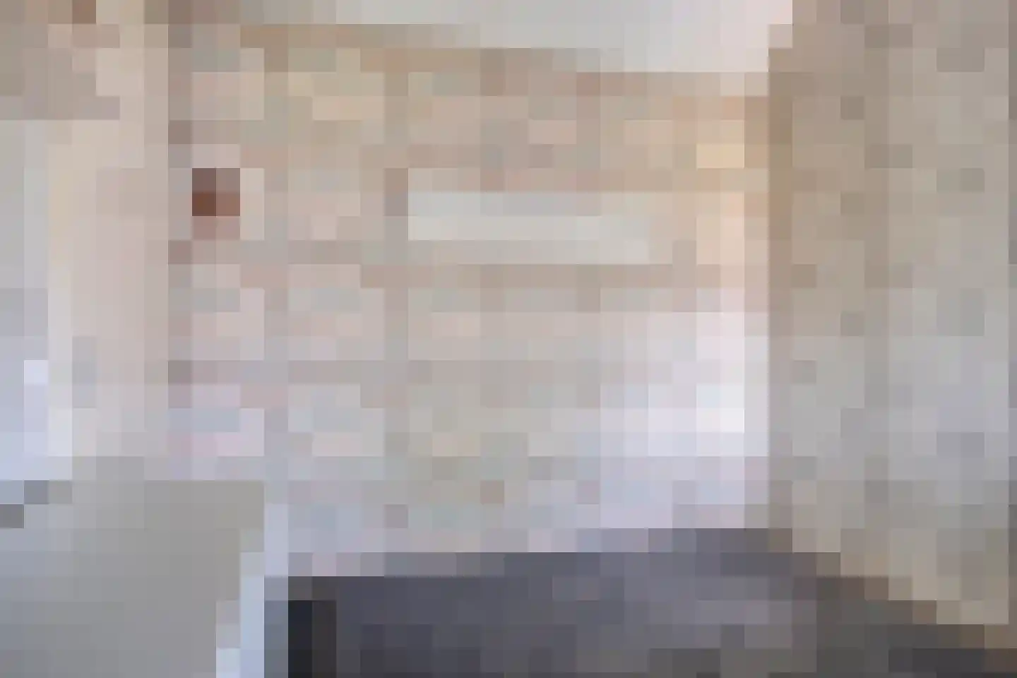 Achtererf 37 Tholen thumbnail 28