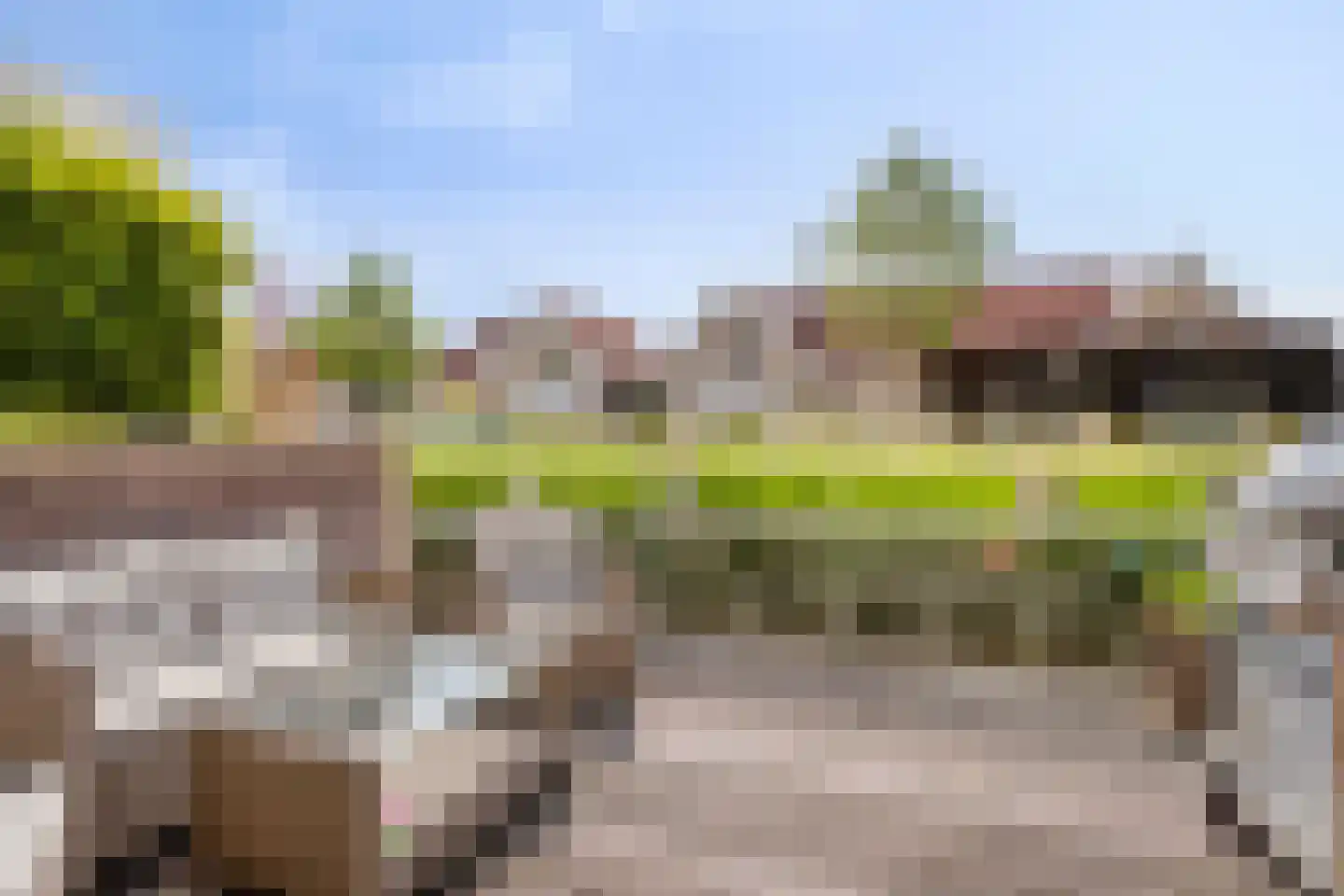 Achtererf 37 Tholen thumbnail 30