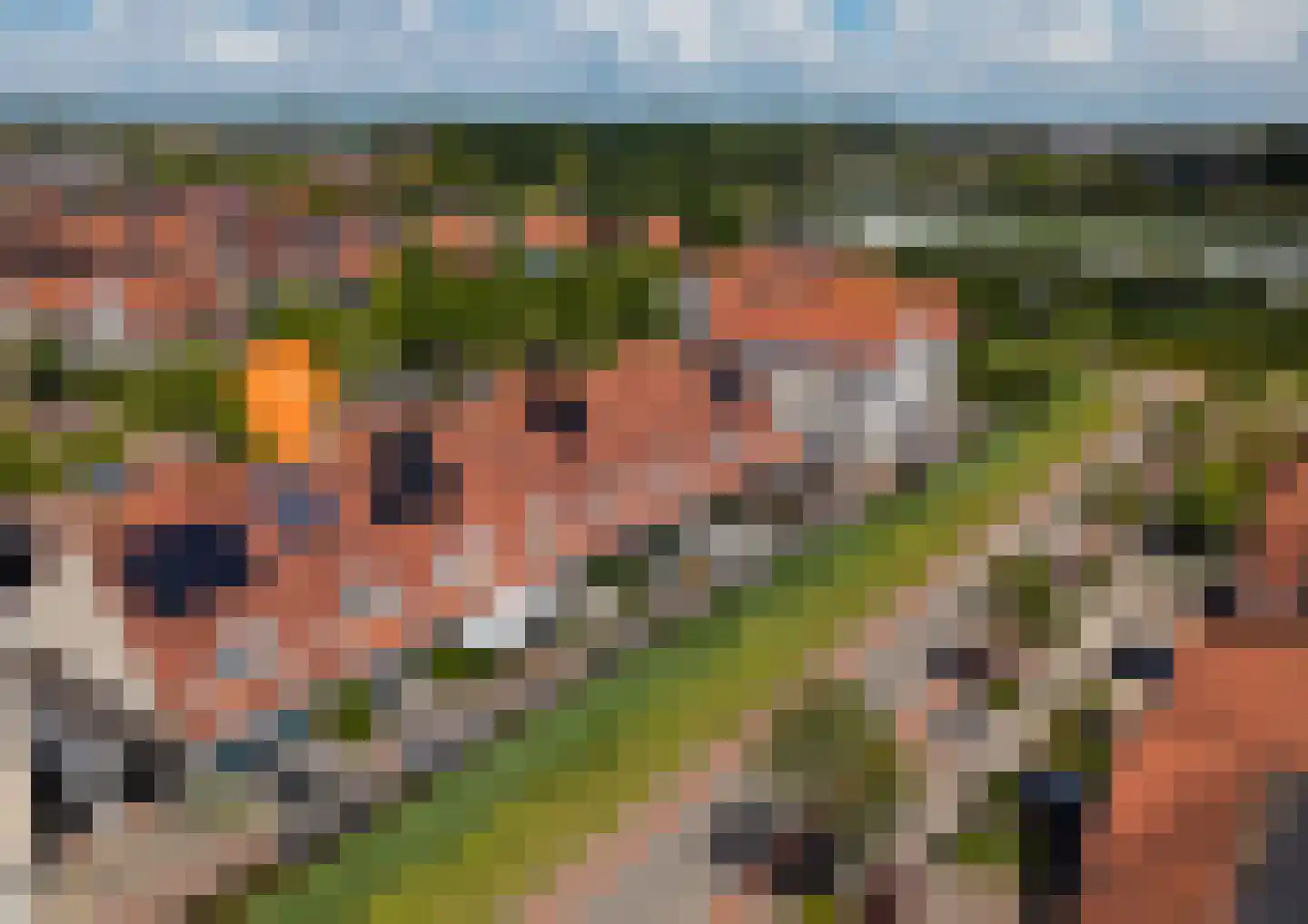 Achtererf 37 Tholen thumbnail 32