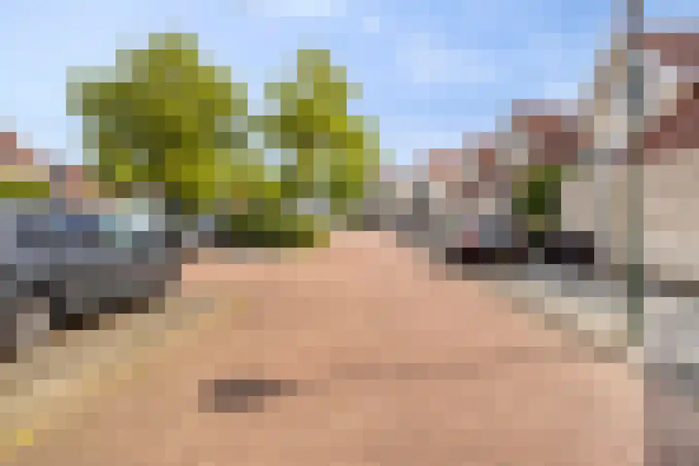 Achtererf 37 Tholen thumbnail 44