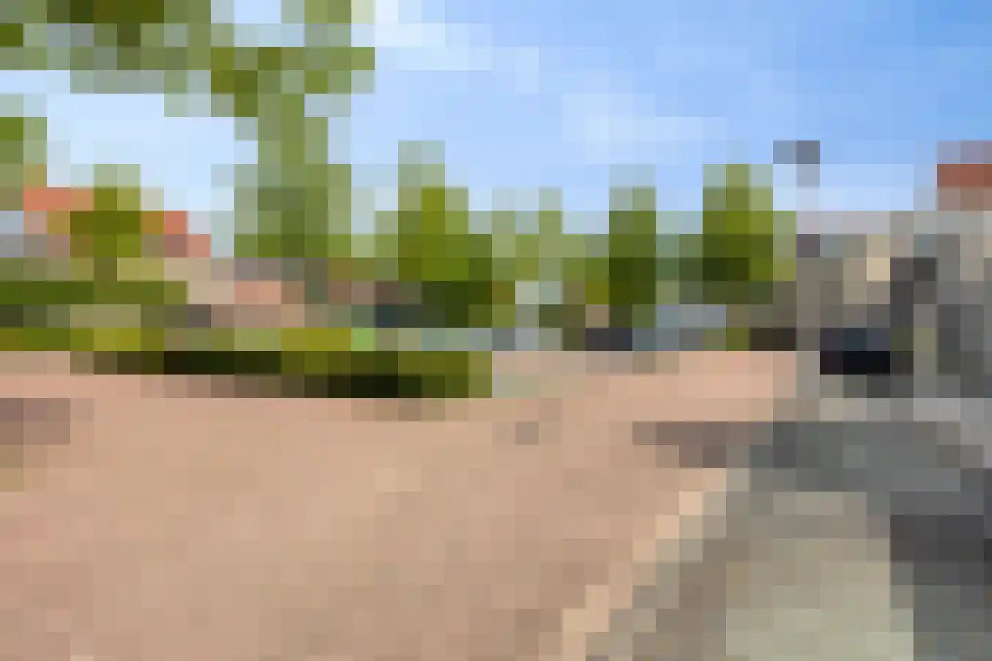 Achtererf 37 Tholen thumbnail 45