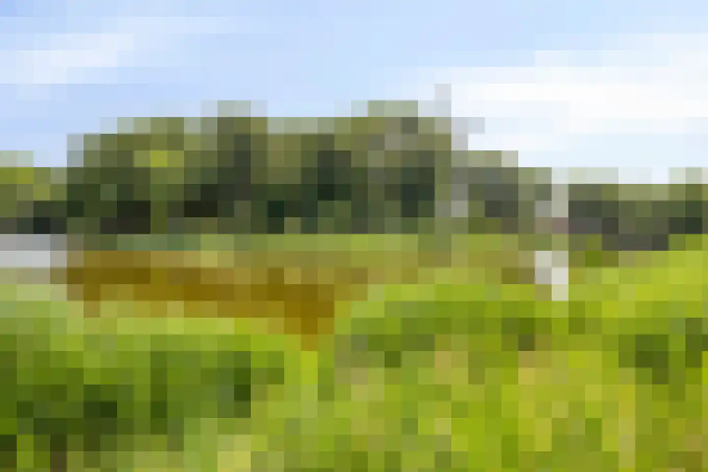 Achtererf 37 Tholen thumbnail 47