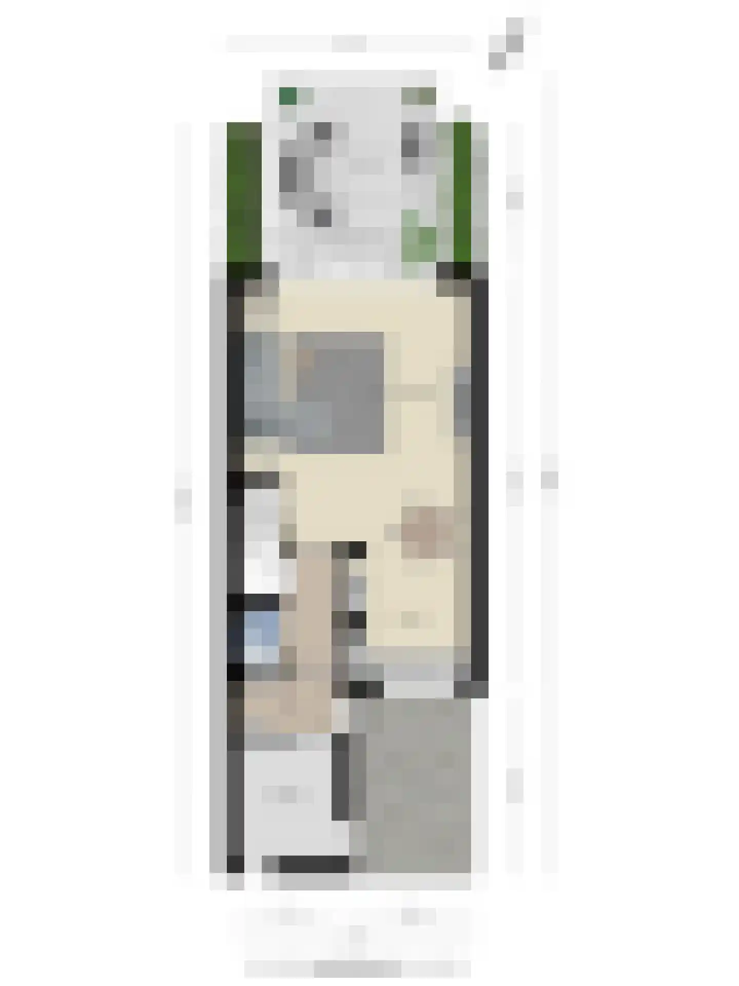 Achtererf 37 Tholen thumbnail 51
