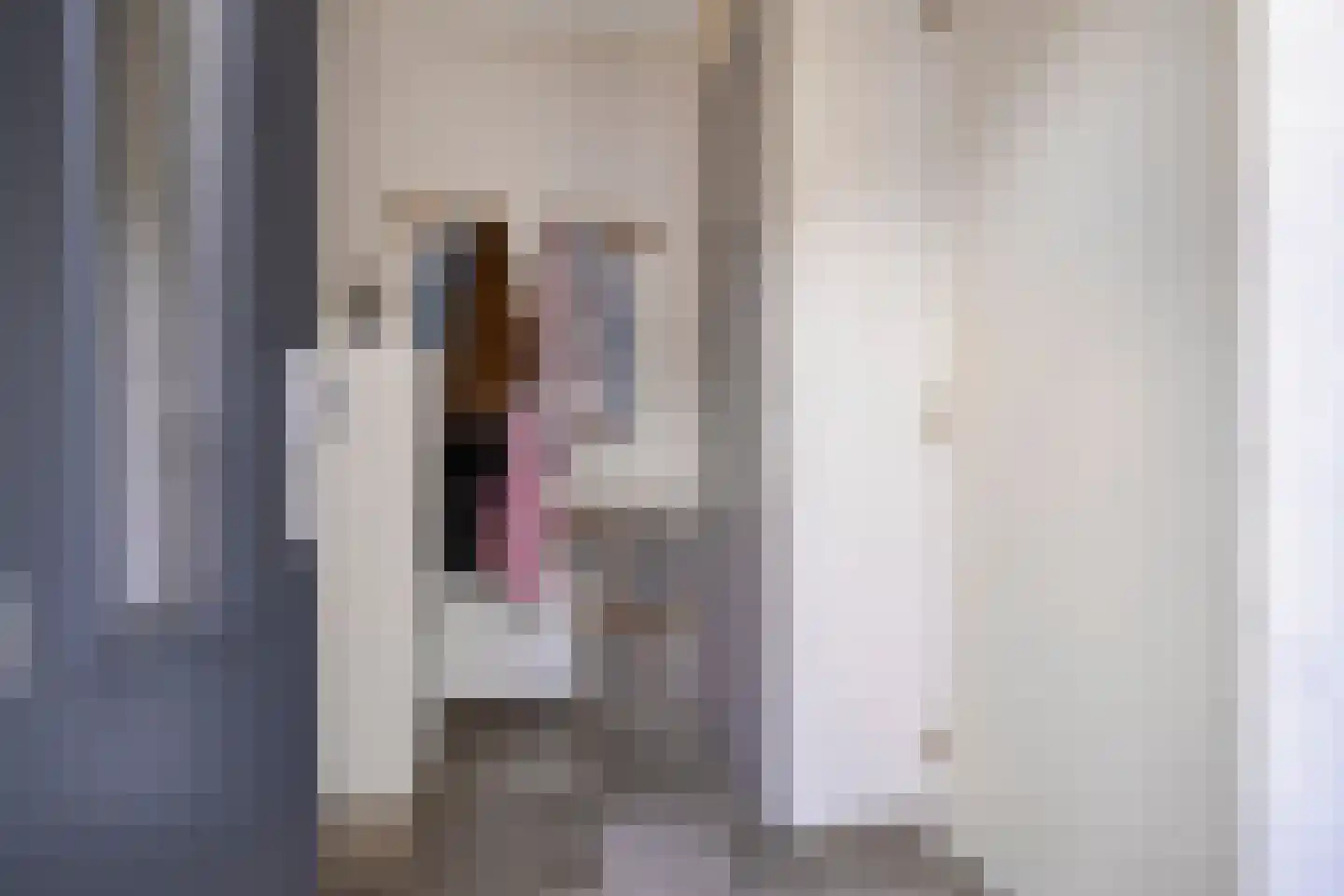 Achtererf 37 Tholen thumbnail 8