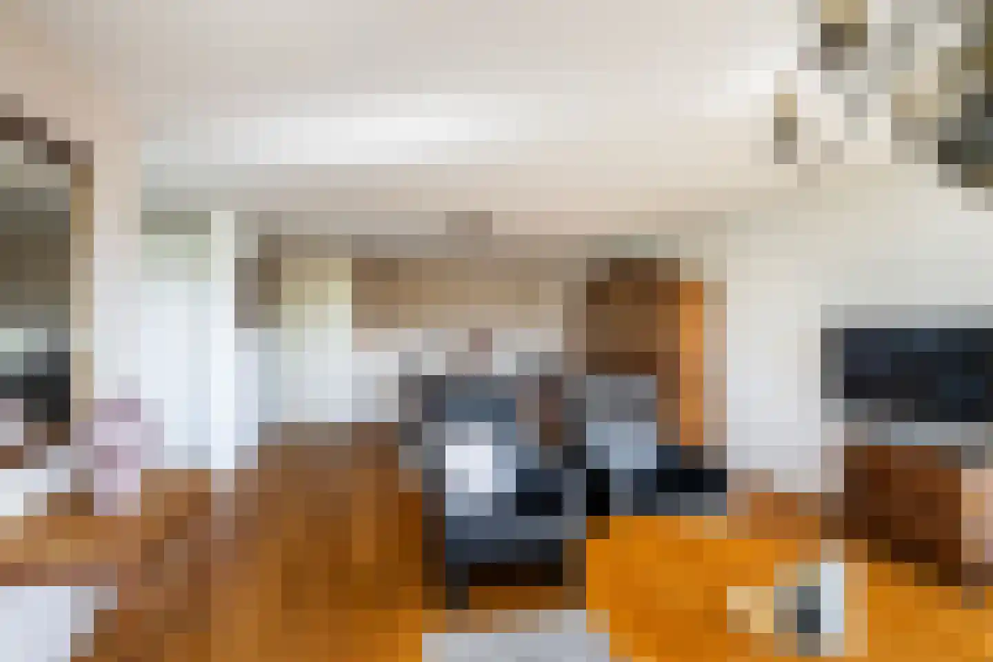 Achtererf 59 Tholen thumbnail 14