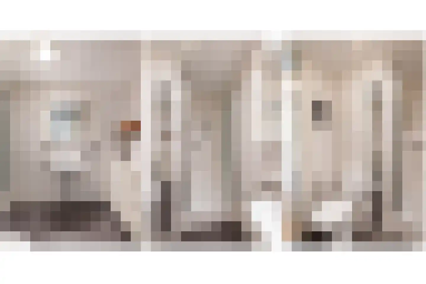 Achtererf 59 Tholen thumbnail 24