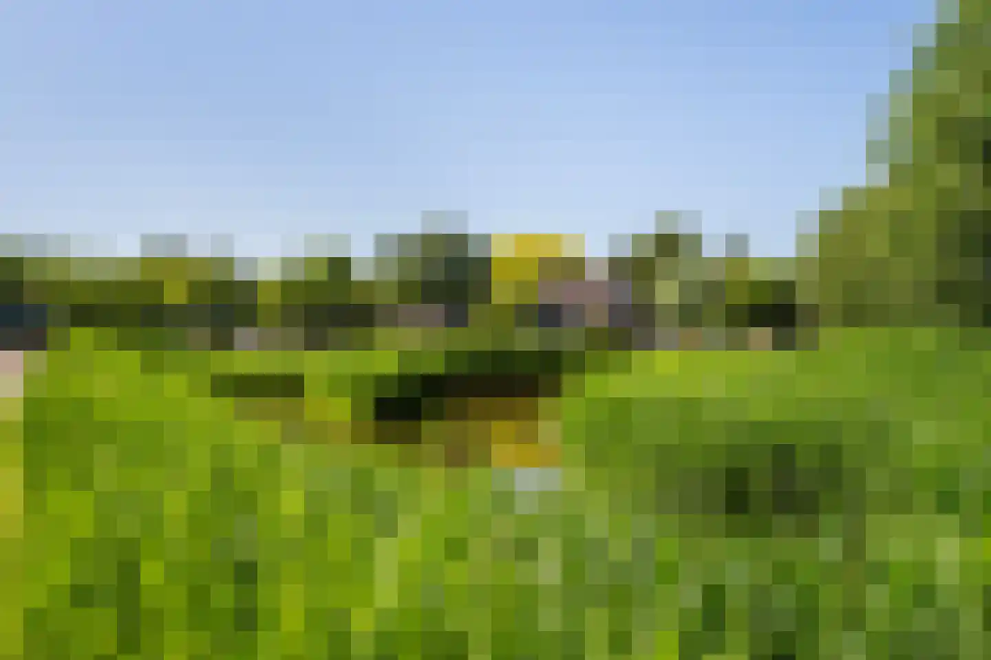 Achtererf 59 Tholen thumbnail 29