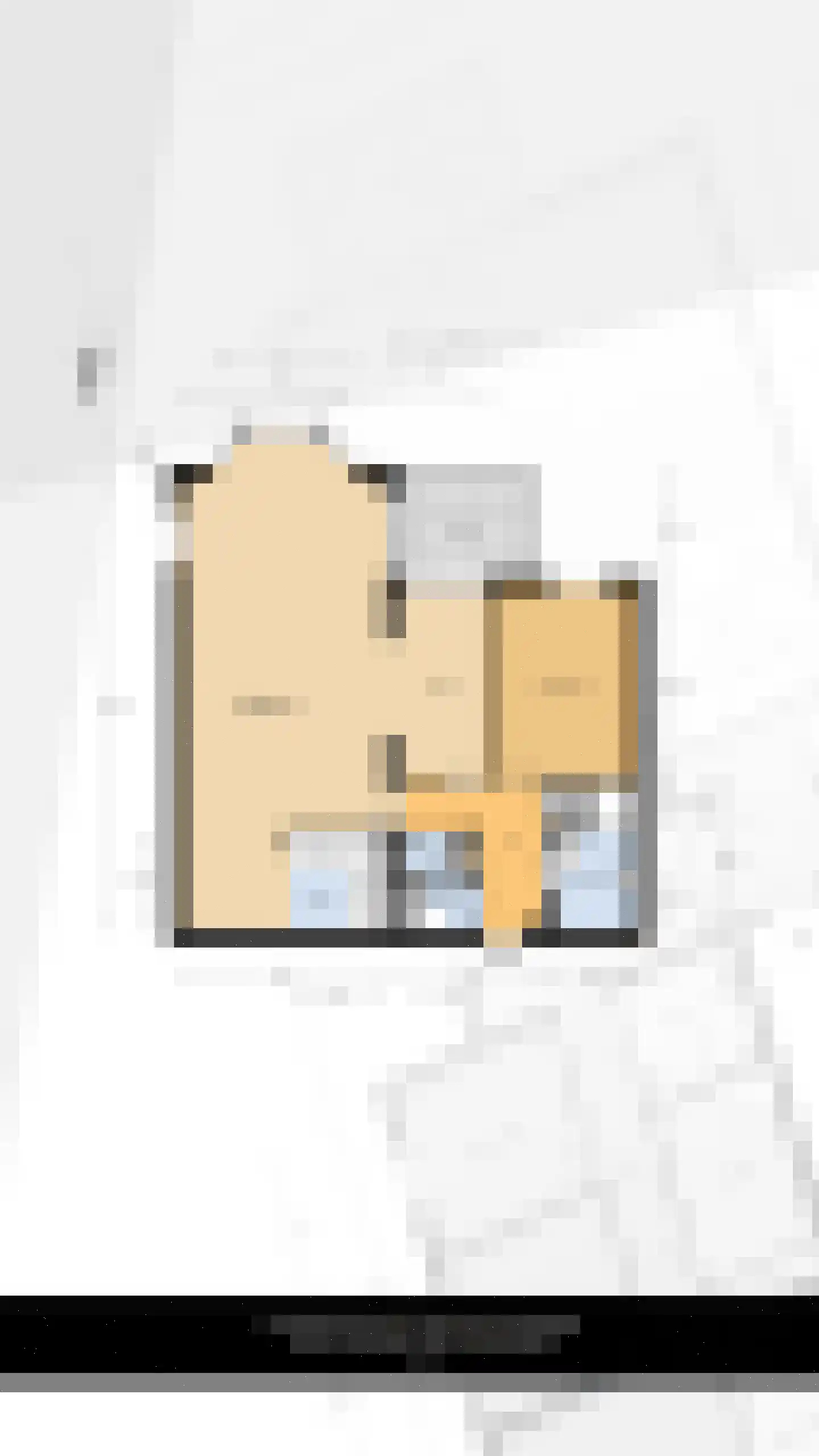 Achtererf 59 Tholen thumbnail 36
