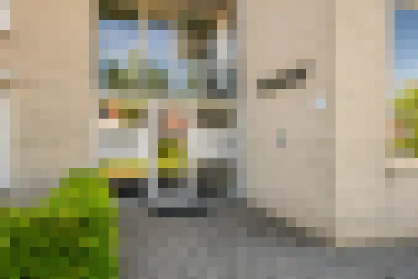 Achtererf 59 Tholen thumbnail 7