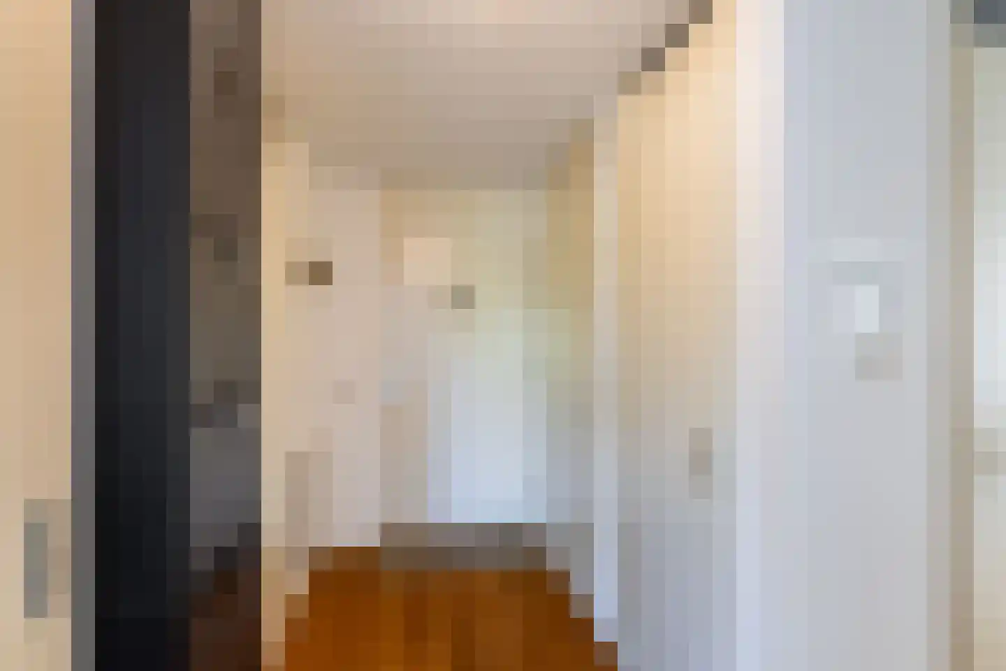 Achtererf 59 Tholen thumbnail 8