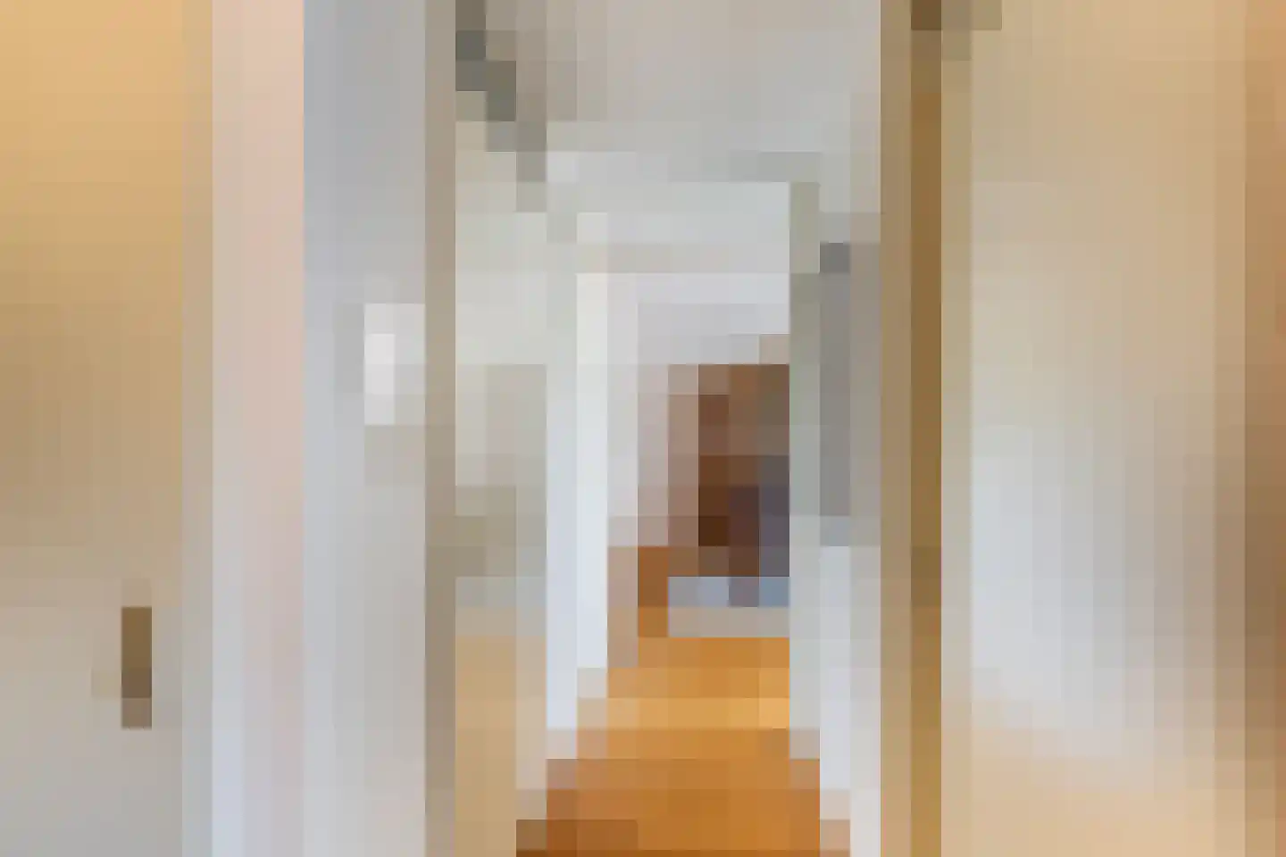 Achtererf 59 Tholen thumbnail 9