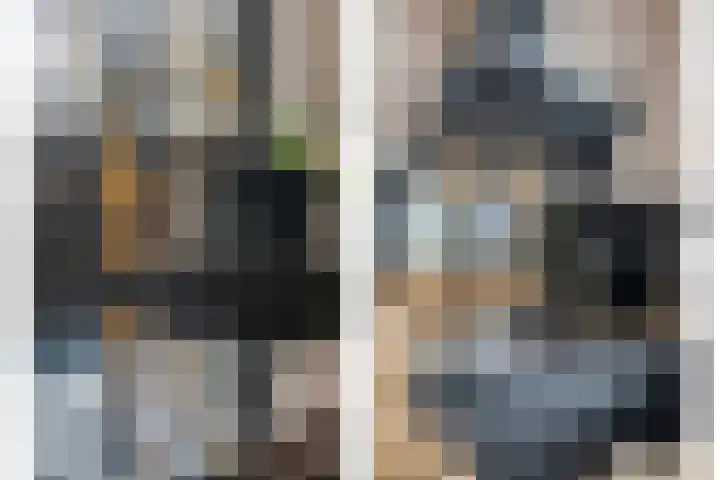 Achtererf 75 Tholen thumbnail 17