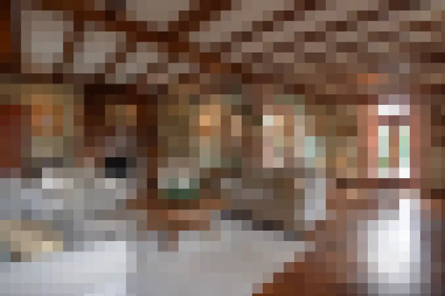 Achtergaardsestraat 25 Groessen thumbnail 10