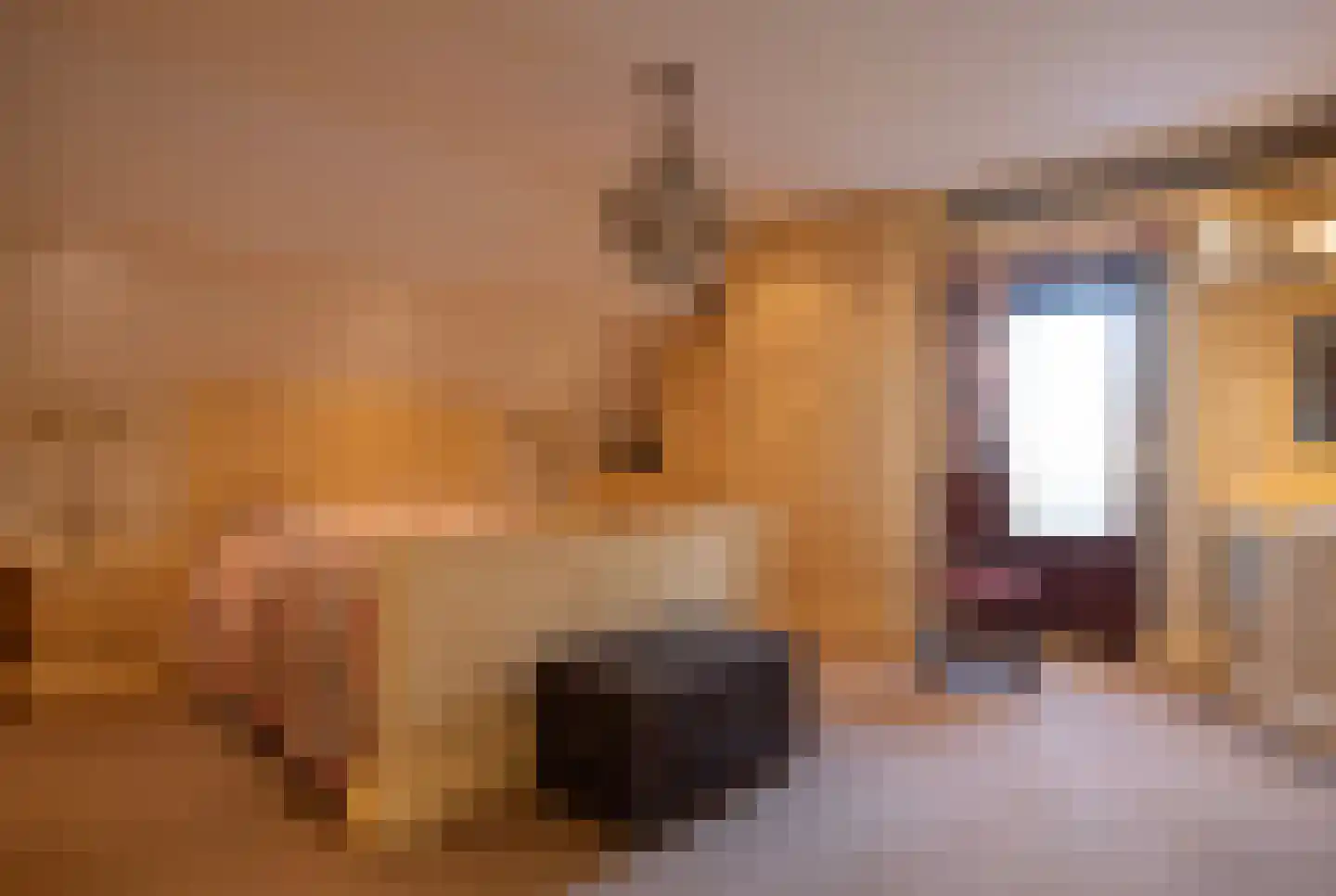 Achtergaardsestraat 25 Groessen thumbnail 27