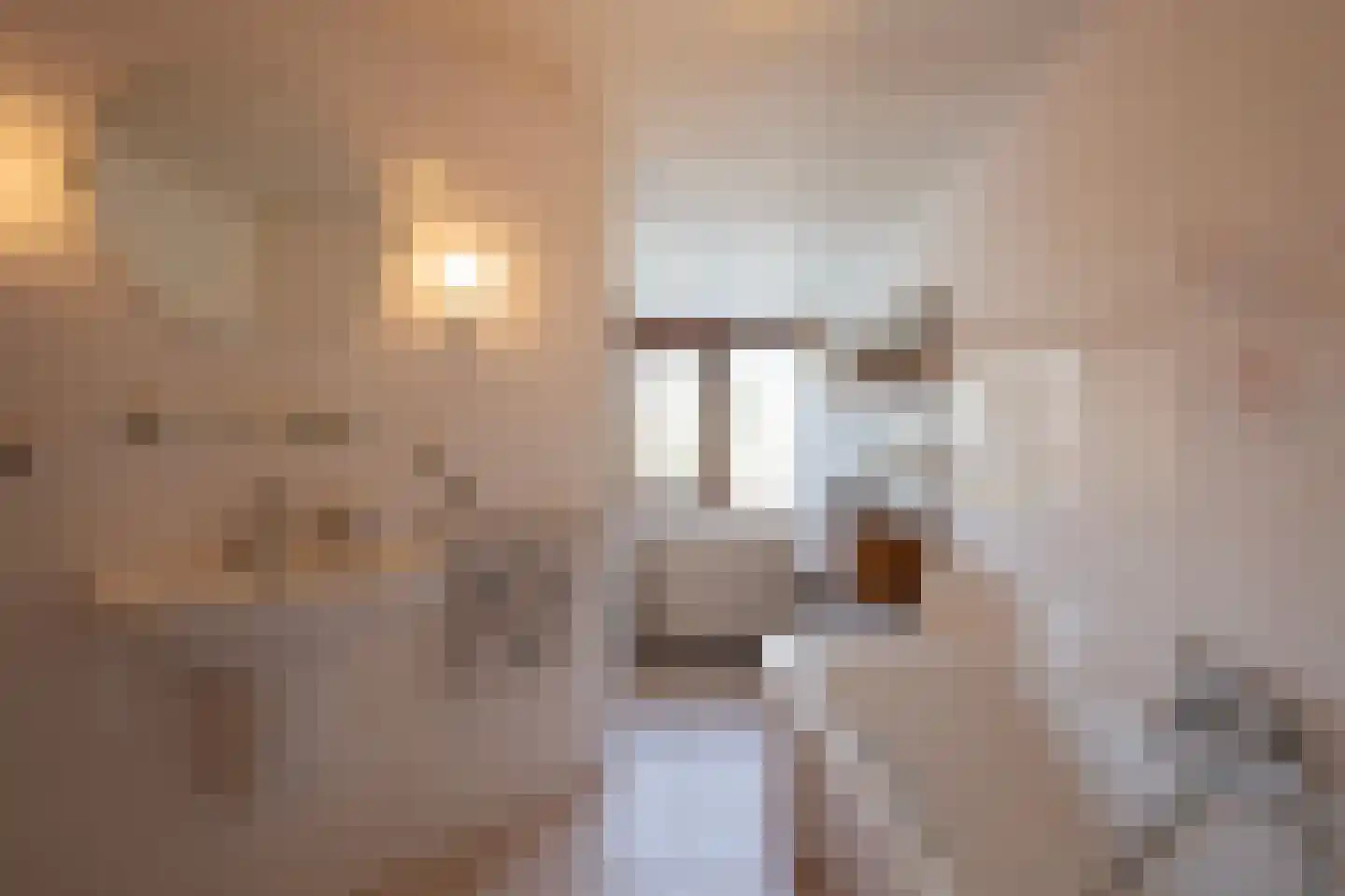 Achtergaardsestraat 25 Groessen thumbnail 37