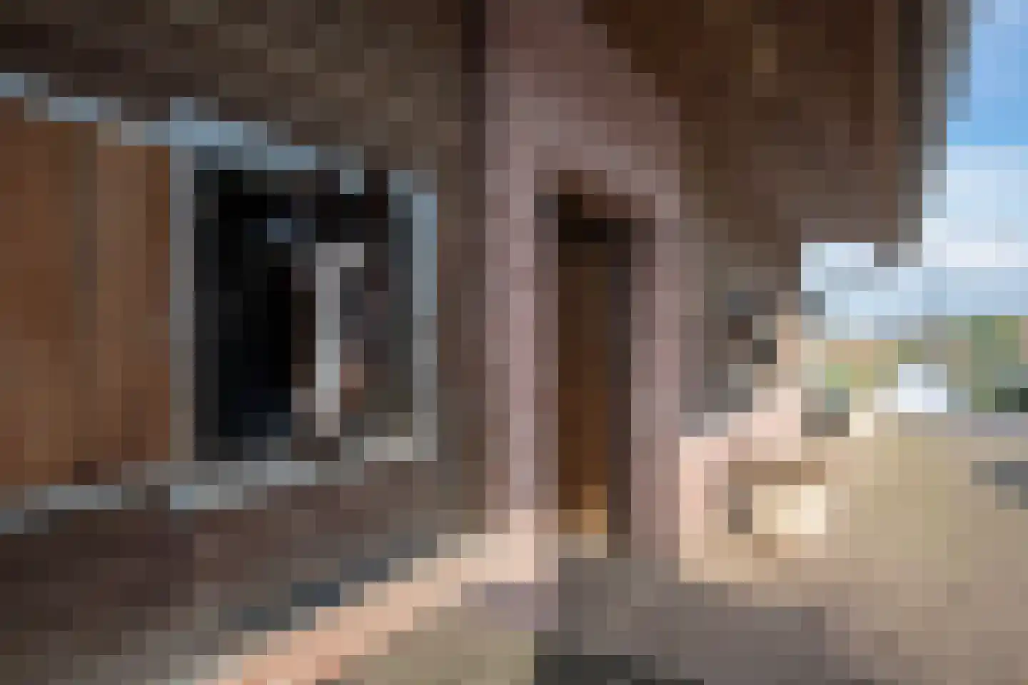 Achtergaardsestraat 25 Groessen thumbnail 5