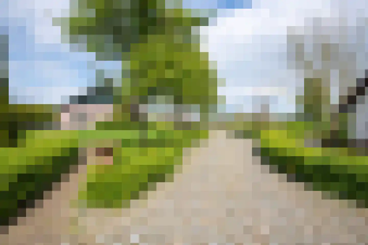 Achtergaardsestraat 25 Groessen thumbnail 8