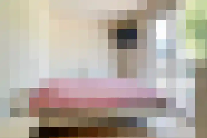 Achtergaardsestraat 6 Groessen thumbnail 16