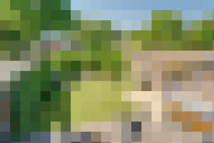 Achtergaardsestraat 6 Groessen thumbnail 18